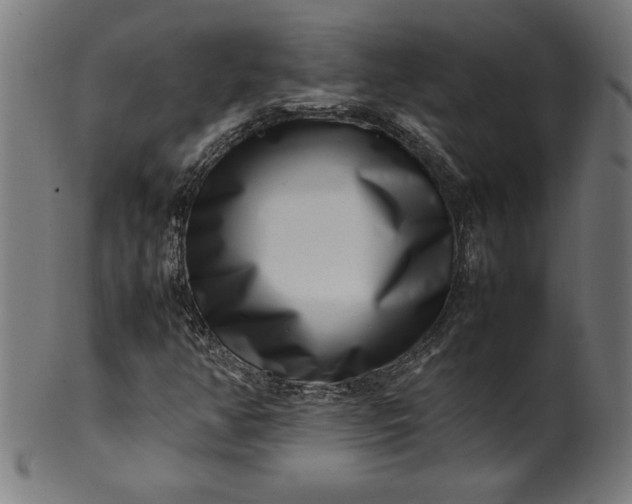 X0000099941350200806061508