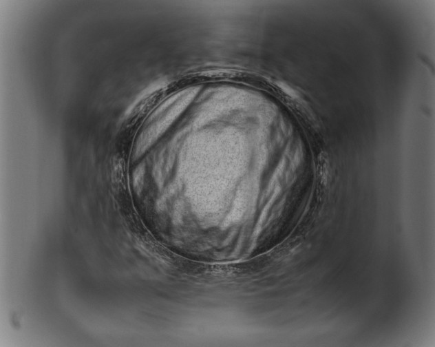 X0000099941351200806061508