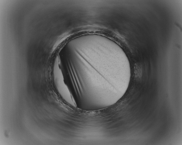X0000099941352200806061508