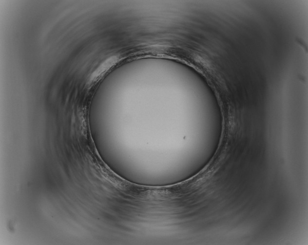 X0000099941354200806061508