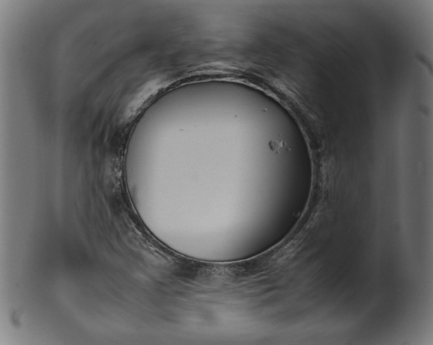X0000099941355200806061508