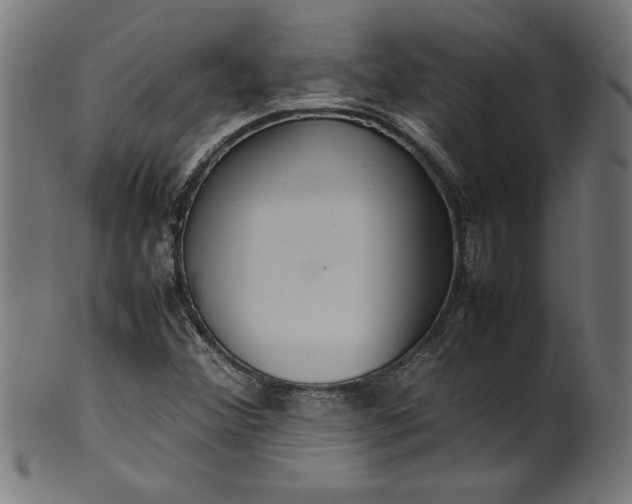 X0000099941356200806061508