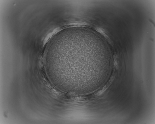 X0000099941357200806061508