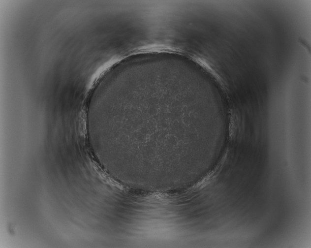 X0000099941358200806061508