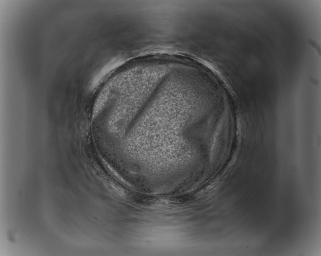X0000099941359200806061508