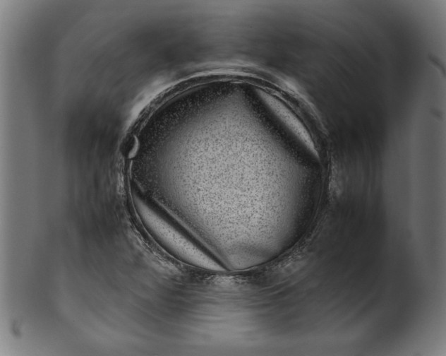 X0000099941360200806061508