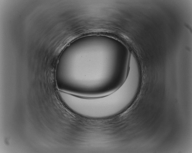 X0000099941361200806061508