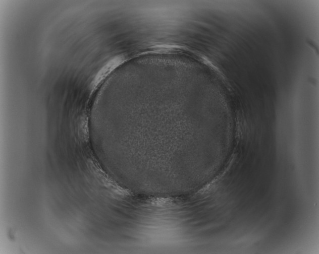 X0000099941362200806061508