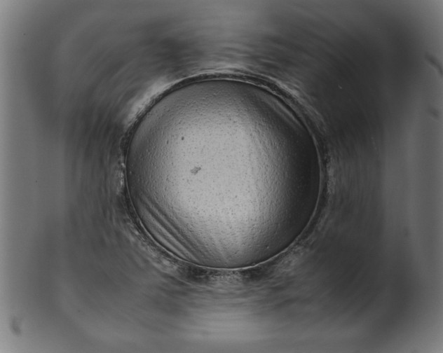 X0000099941363200806061508