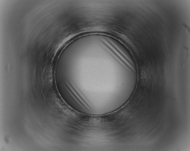 X0000099941364200806061508