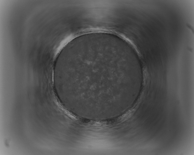 X0000099941365200806061508