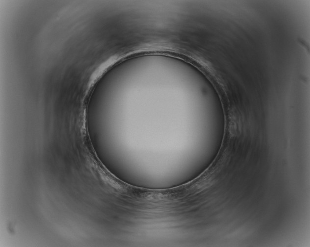 X0000099941366200806061508