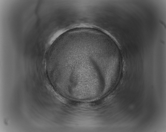 X0000099941367200806061508