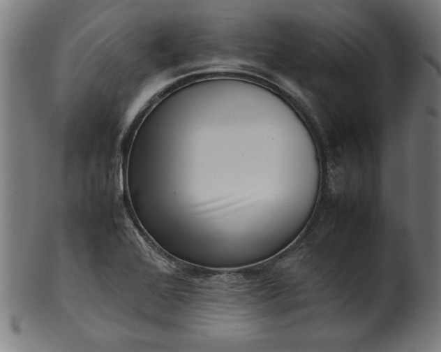 X0000099941368200806061508