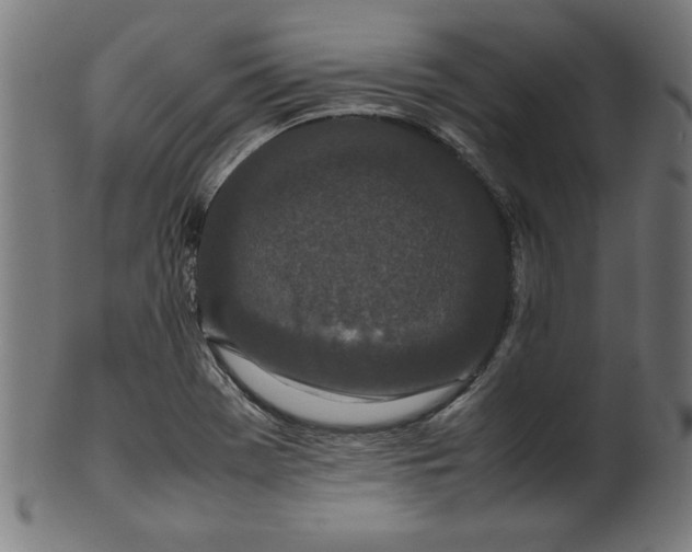 X0000099941369200806061508