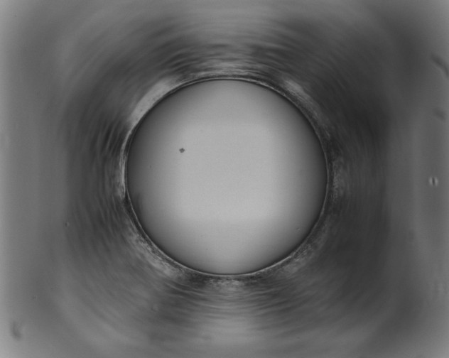 X0000099941370200806061508