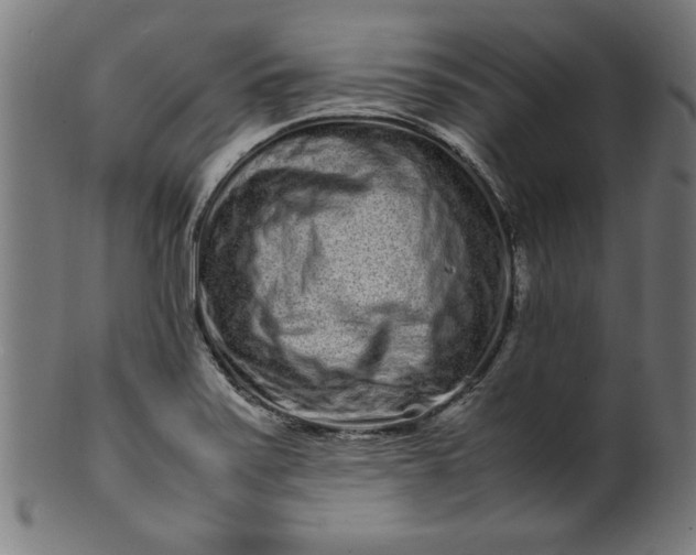 X0000099941371200806061508