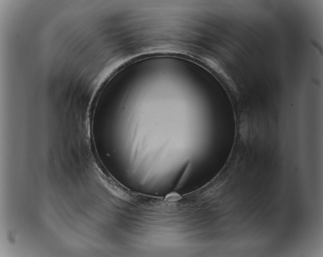X0000099941372200806061508