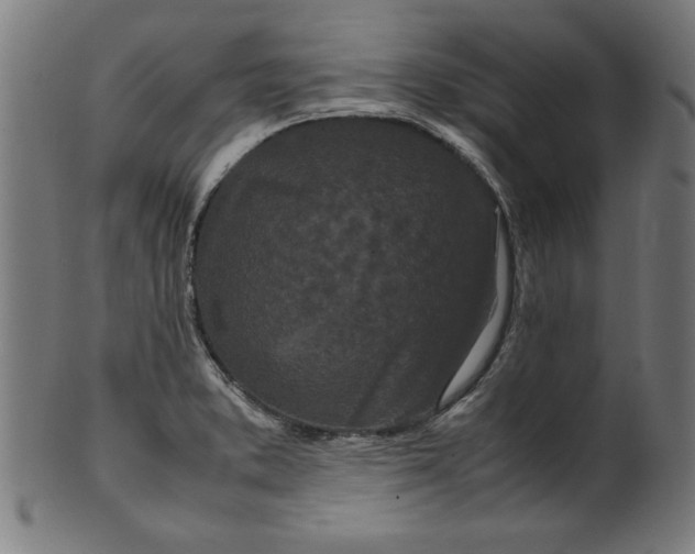 X0000099941373200806061508