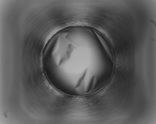 X0000099941374200806061508