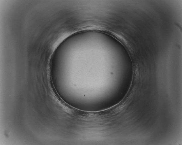 X0000099941375200806061508