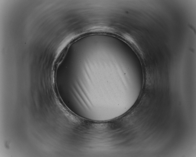 X0000099941376200806061508