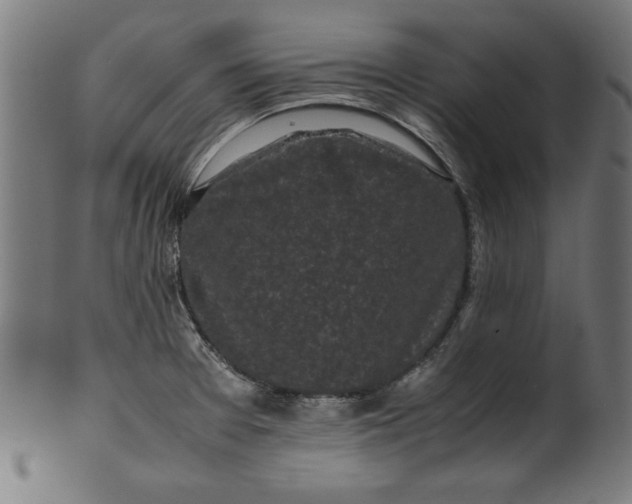X0000099941377200806061508