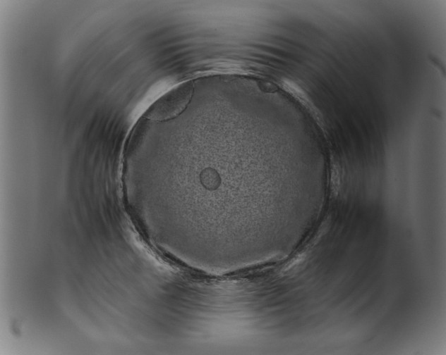 X0000099941378200806061508