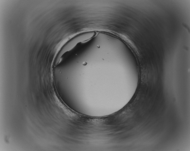 X0000099941380200806061508