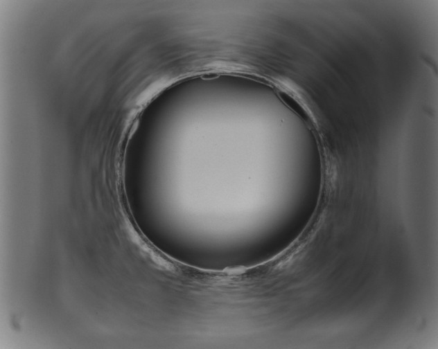 X0000099941381200806061508