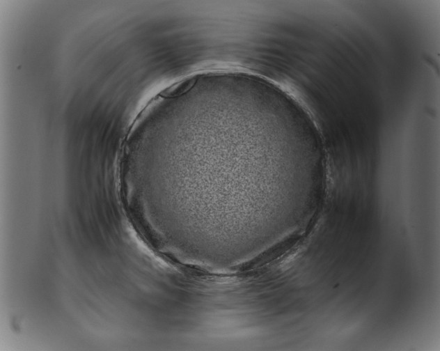 X0000099941382200806061508