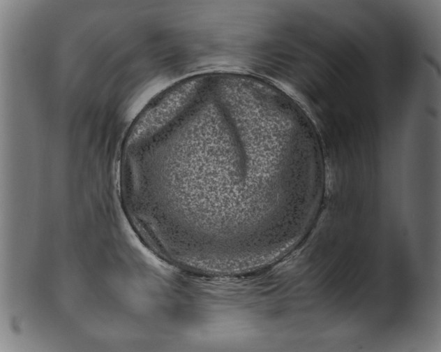 X0000099941383200806061508
