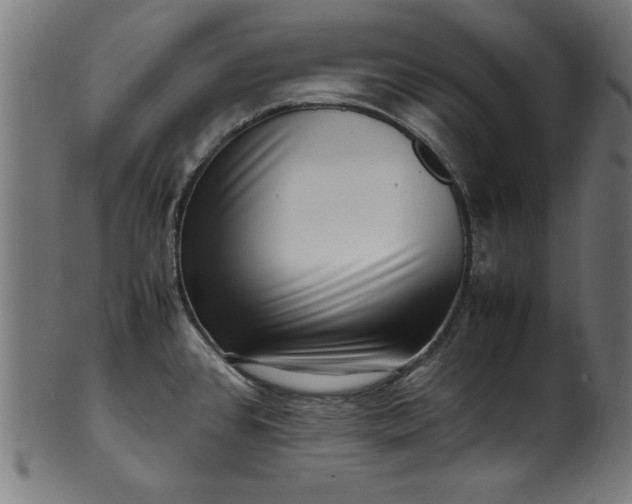 X0000099941384200806061508