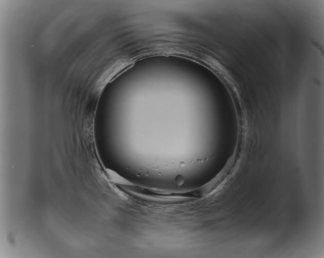 X0000099941385200806061508