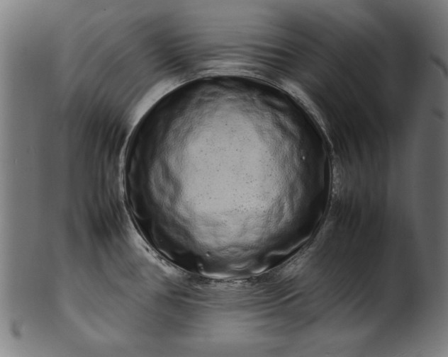 X0000099941386200806061508