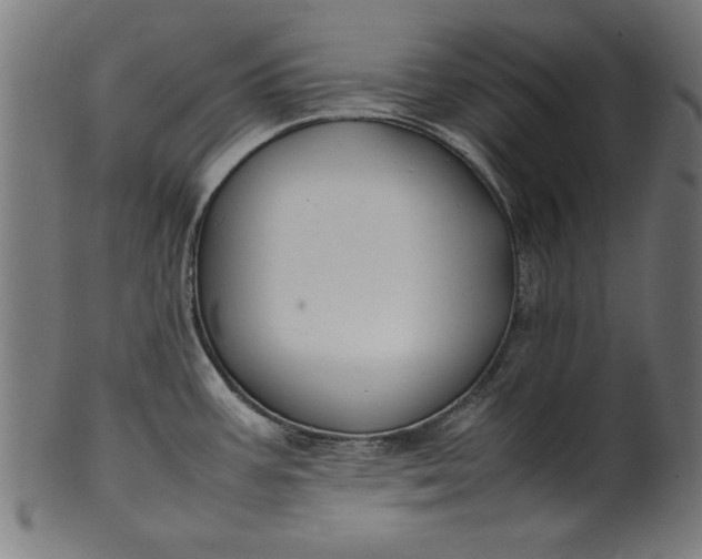 X0000099941387200806061508