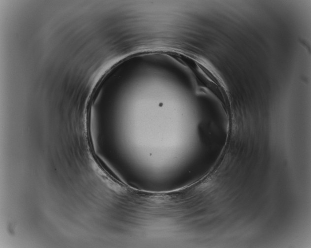 X0000099941388200806061508