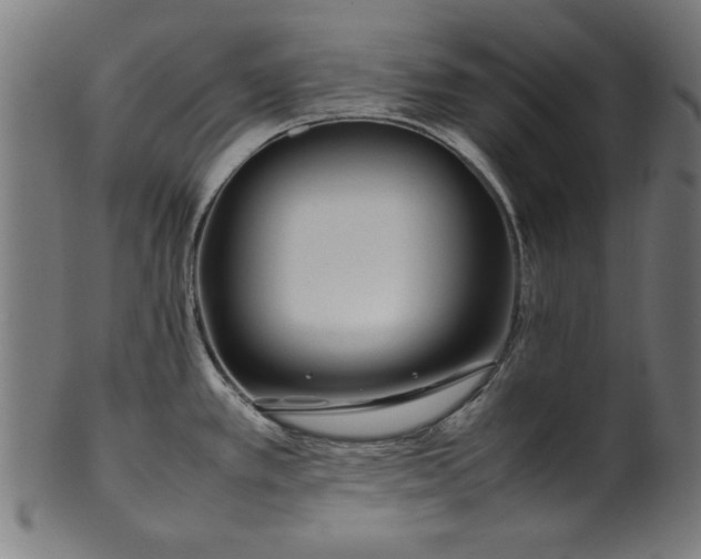 X0000099941389200806061508