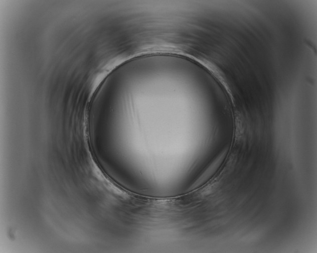 X0000099941390200806061508