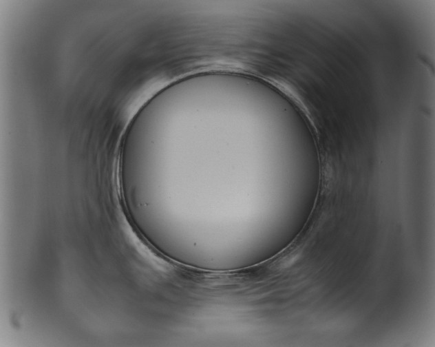 X0000099941391200806061508