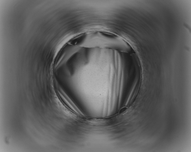 X0000099941392200806061508