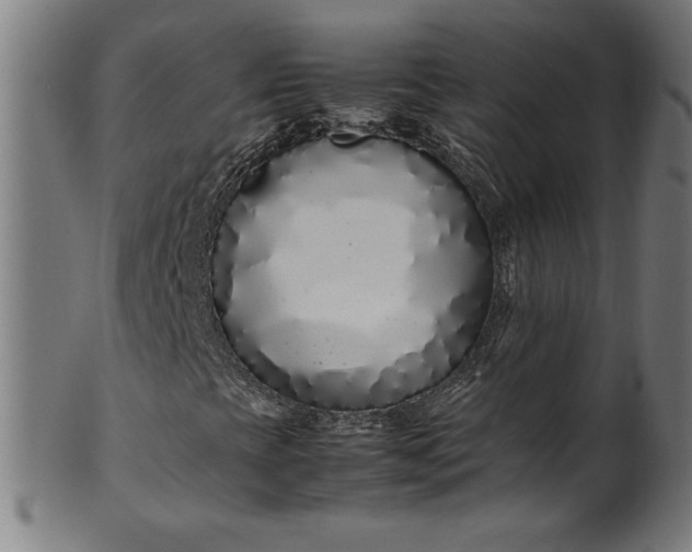 X0000099941393200806061507