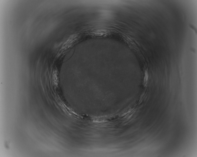 X0000099941394200806061507