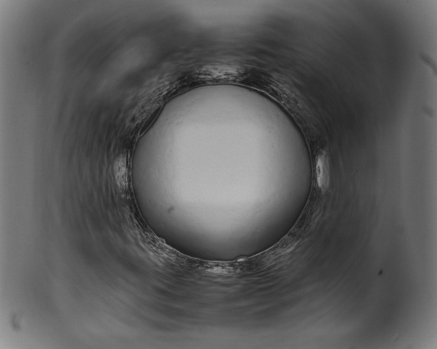 X0000099941395200806061507