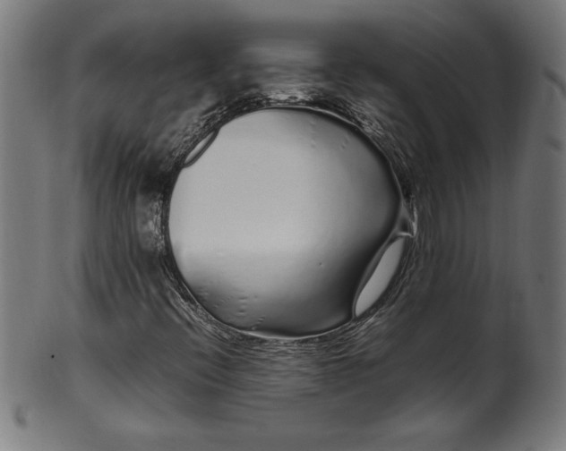 X0000099941396200806061507