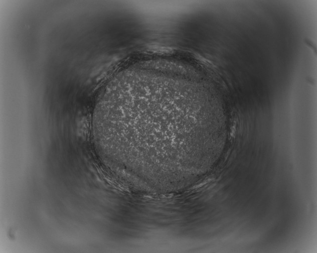 X0000099941397200806061507