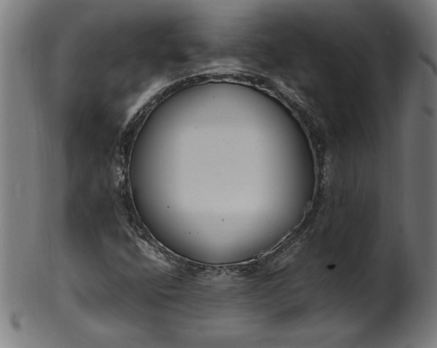 X0000099941400200806061507