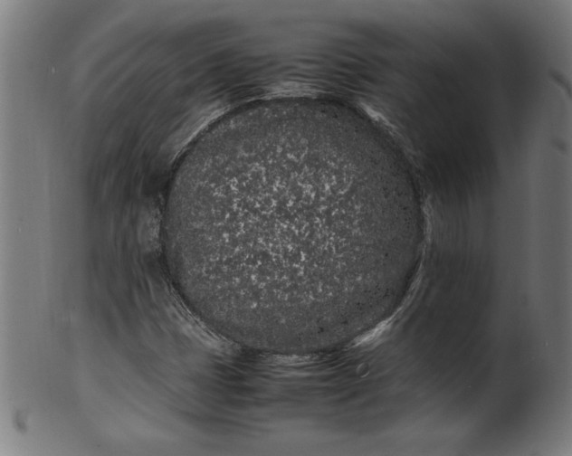 X0000099941401200806061507