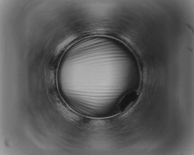 X0000099941402200806061507