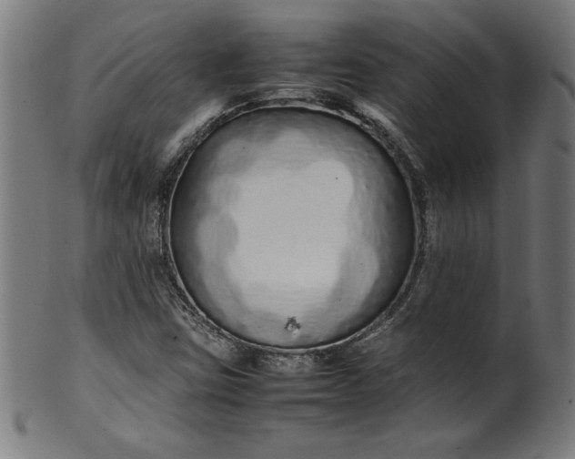 X0000099941403200806061507